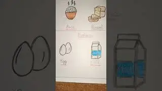 Carbohydrates and Protein food drawing 🥰