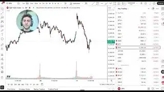 Cashflow AI Day 158: -$1,200