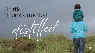 Turtle Transformation Distilled Annual Program