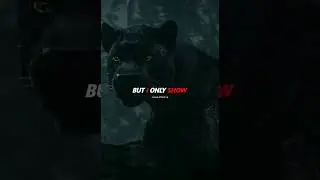 Black Panther attitude status || whatsapp attitude status #attitude #attitudestatus