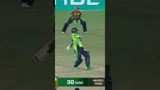 Qalandars ka Sikandar 🫡#HBLPSL8   #SabSitarayHumaray   #LQvPZ