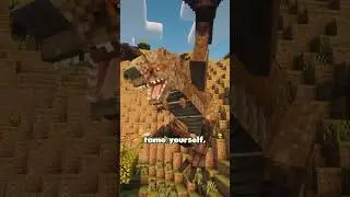 Это жалящий моллюск Distortus Stinger с острова Берк.