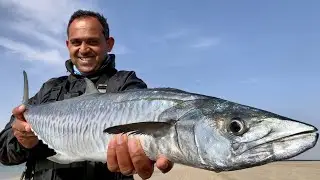 Shore Jigging for Kingfish  - Fishing in Qatar