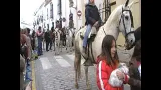 San Antonio Abad. Bendición de los animales. Trigueros 2013.