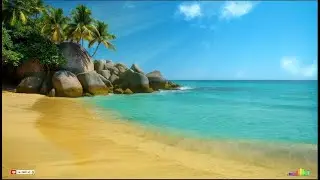 Salsa Moderna  - Background -  Relaxing -  Music -  Beautiful - Peaceful - Calm - Live