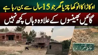 The Strange Okara Zoo Story | A Project Stuck for 15 Years | Still No Animals and No Progress