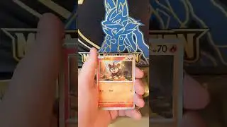 Golduck vs Golduck? Mega Evolution openings