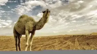 Damascus Arabic Club Music Mix Middle Eastern Music 2016