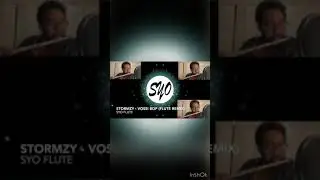 Vossi Bop (Flute Remix)