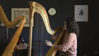 Beautiful 19th century Erard harp