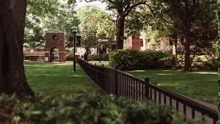 Harding TV Wallpaper
