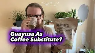 Guayusa Leaves As a Coffee Substitute? I don't think so....