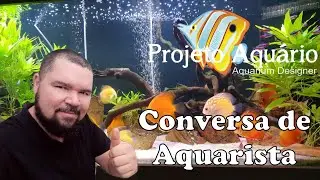 Conversa com aquarista.