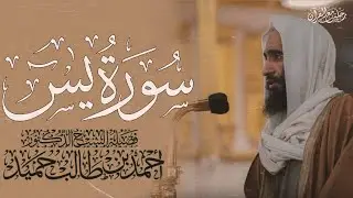 سورة يس كاملة - الشيخ أحمد بن طالب | Ahmed bin Talib - Surah Yasin