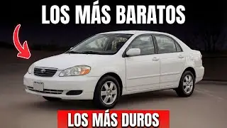 17 AUTOS baratos que sobreviven donde los nuevos MUEREN