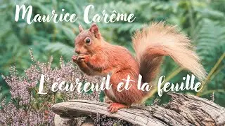 L'écureuil et la feuille - Maurice Carême - Poésie - French Poetry
