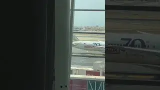 Gulf air spotted #bahrain #falcon #shortvideo #aeroplane #travel #holiday #airport #middleeast #fun