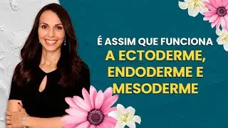 É assim que funciona a ectoderme, endoderme e mesoderme