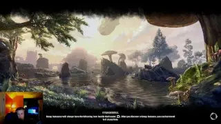 Dragon Bones DLC Update 17! Outfitting, Storage Chests, and DPS Tests