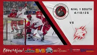 STREATHAM REDHAWKS V SWINDON WILDCATS 2 NIHL 1 SOUTH  041025