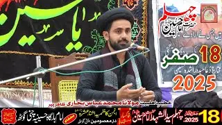 Molana Syed M. Abbas Bukhari || 18 Safar 1447 | 13 August 2025 || Chelum Imam Hussain a.s ChaniGoth.