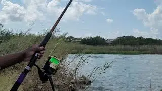 Seadrift Tx and surrounding area fishing