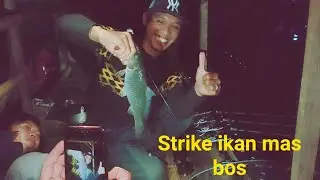 Mancing pake umpan gisel 19 detik, langsung jadi bos,  MANTAP.