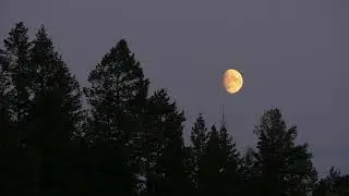 indie folk / phoebe bridgers / bon iver type instrumental “on off”