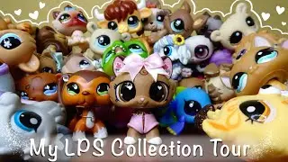 THANK YOU FOR 1K! A Tour of my LPS Collection