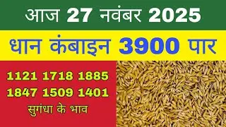 धान का भाव आज 🔴27 नवंबर 2025 | 1509,1121, बासमती | Dhaan Rate Today | Agri Commodity Price