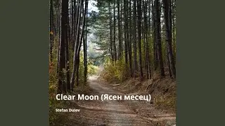 Clear Moon