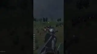 Гениальная охрана  #mountandblade
