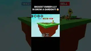 BIGGEST EMBER LILY IN GROW A GRADEN! 😱🌱 #roblox #growagarden #gag #short #shorts