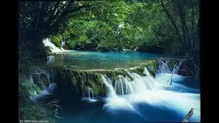 Trekking Bach Ma National Park