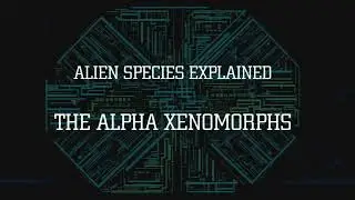 The Alpha Xenomorph Corcoran Xenomorph   Alien Species Explained Alien  Bloodlines