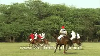 Polo in Delhi