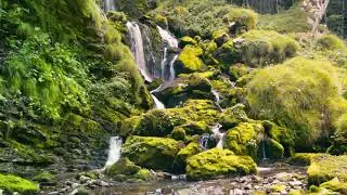 Magic waterfall , Focus Music , think, meditation, relaxing music, study music,