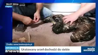 Radio Szczecin News - 28.07.2016