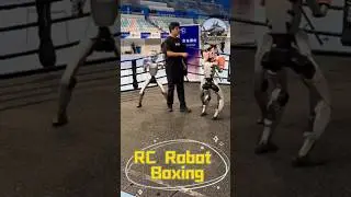 Do you like this kind of rc robot boxing? #rcmodel #rcrobot #robot #boxing