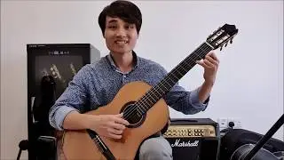 The Meeting of the Waters - Abrsm Guitar Grade 2 - List A no 2 - Tutorial