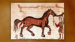 Elisabet G&ouml;ransson and Britt Dahlman describe ancient veterinary medicine