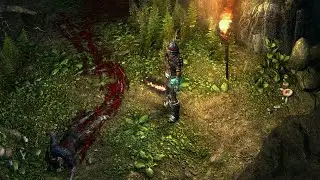 Grim Dawn gameplay. Testing Grenado with Gutworm. He volunteered.