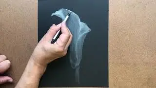How to create your first Reverse Drawing, a Calla Lily