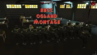 Percutie la nunta [OGLAND MONTAGE]