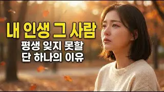 일하면서 듣기 좋은 발라드 트로트  ㅣ 못 잊을 사람ㅣ 감성 발라드 트로트 ㅣ 카페트로트 #중년감성트로트 #감성트로트 #노래 #대중가요연주 #트로트 #조용히듣는트로트 #중년트로트