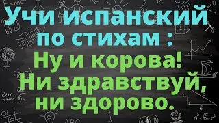 Учим испанский по стихам.Мария  Елена Уолш , лимерик про невоспитанную корову.