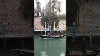 Low water levels in Venice, Italy - February 21st, 2023 &lrm;@italy4suitcasesandacat&nbsp; (3)