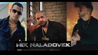 DYNAMIC x BUBIK RECORDS x MILAN GIPSY TITANIC - m&iacute;x n&aacute;ladovek - cover 🔥