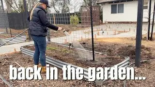 Finally Back to Gardening 🙌🏼✨🌿 Pruning Roses, Abutilon & More