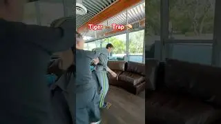 🔥 Tiger Trap &mdash; Punch? Meet the Couch! 🐅🪤🛋️